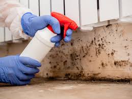 Mold Remediation for Rental Properties in Johnson Lane, NV